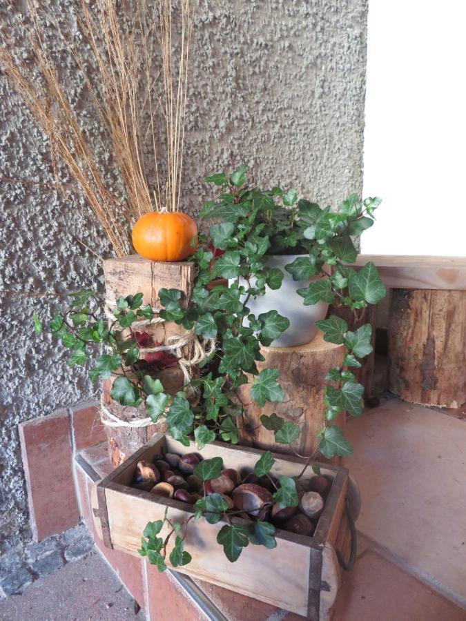 Haus Sternblick Apartment Bischofswiesen Luaran gambar